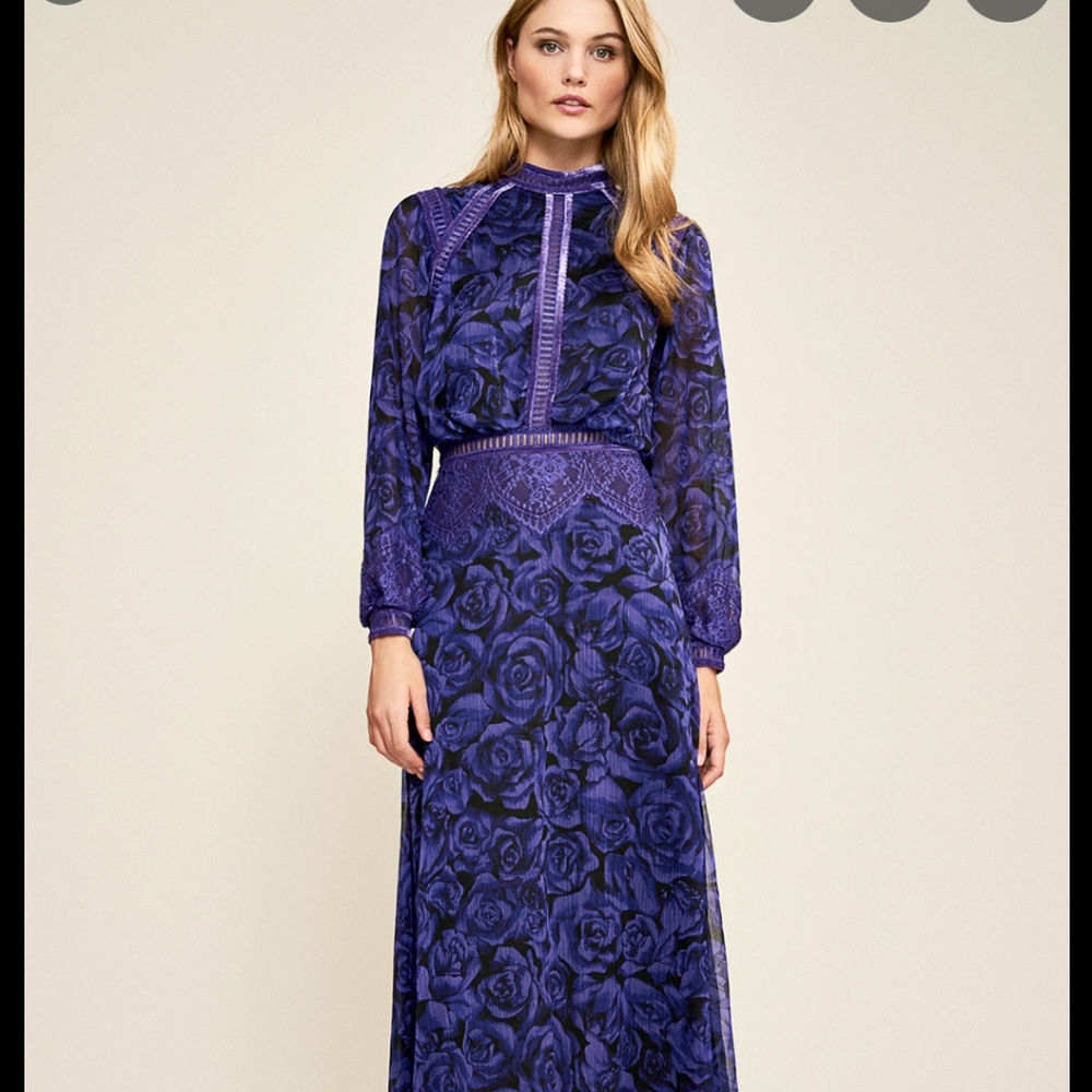 ISO Celina Tadashi Shoji Gown